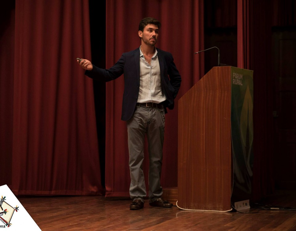 Green Valley - Diogo Meireles2